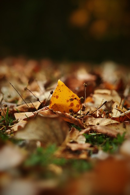 的判罚让不 的判罚让不