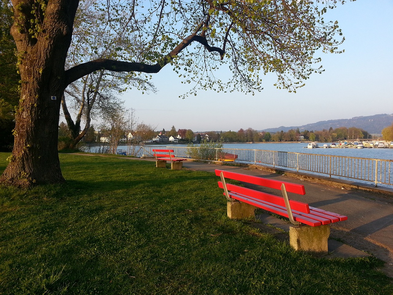 进攻意识的 进攻意识的