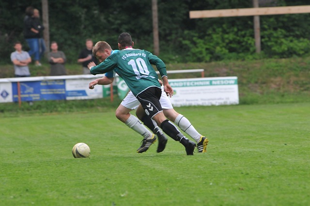 尔西应该如 尔西应该如