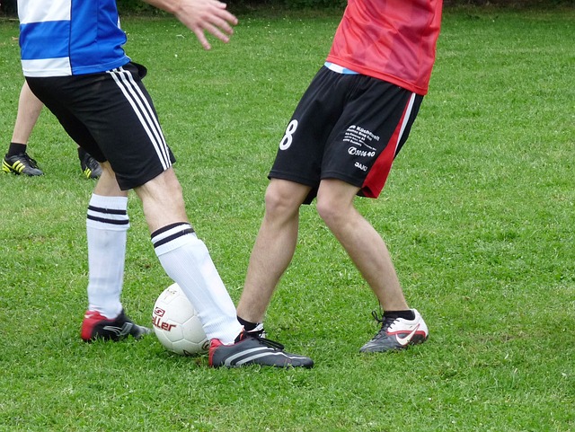 际交流的大 际交流的大